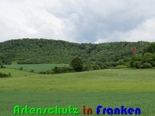 Bild zum Eintrag (58157-160)