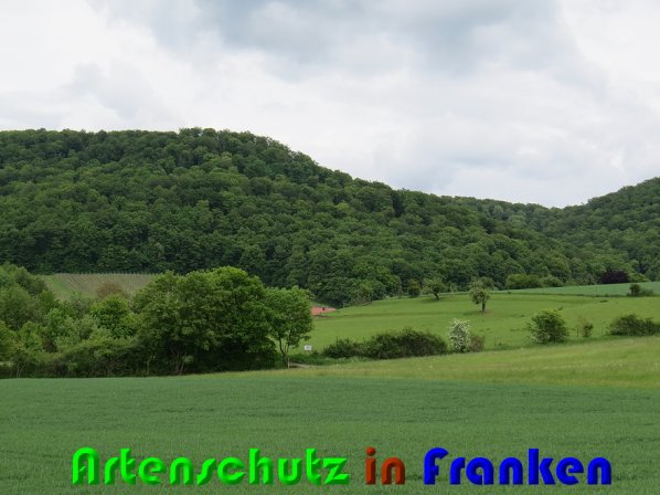 Bild zum Eintrag (58160-160)