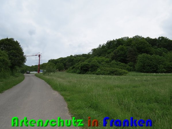 Bild zum Eintrag (58161-160)