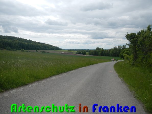 Bild zum Eintrag (58162-160)