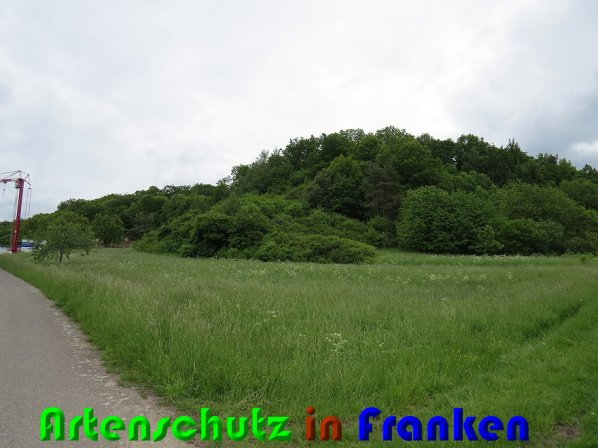 Bild zum Eintrag (58163-160)