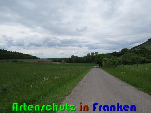 Bild zum Eintrag (58208-160)