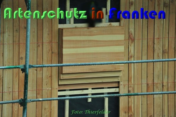 Copyright AiS Thierfelder Bild zum Eintrag (59193-160)