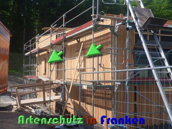 Copyright AiS Treuheit Bild zum Eintrag (59484-160)