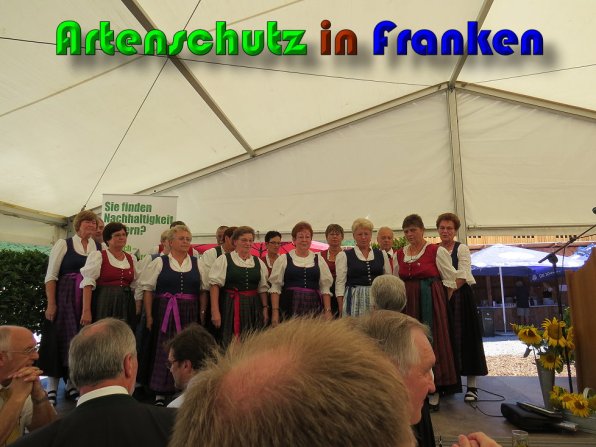 Bild zum Eintrag (60217-160)