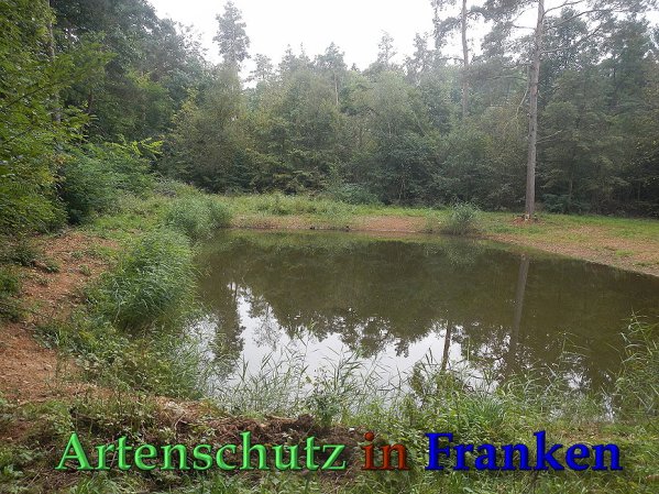 Bild zum Eintrag (61678-160)