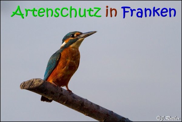 Copyright AiS Johannes Rother Bild zum Eintrag (62843-160)