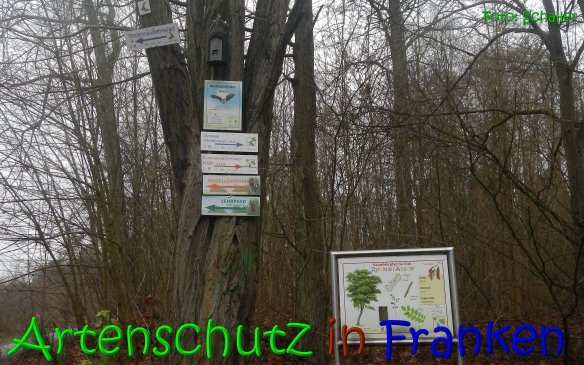 Copyright AiS Schaller Bild zum Eintrag (62997-160)
