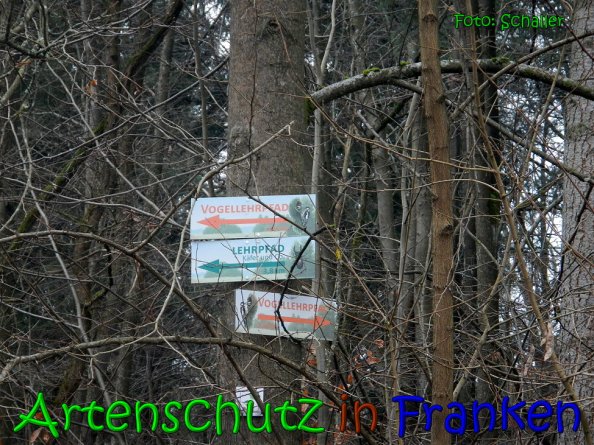 Copyright AiS Schaller Bild zum Eintrag (62998-160)