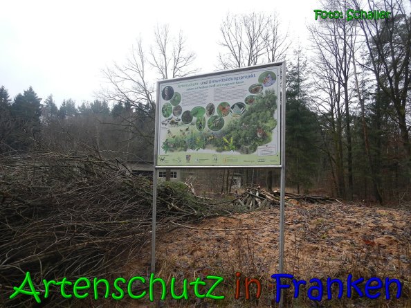 Bild zum Eintrag (63000-160)