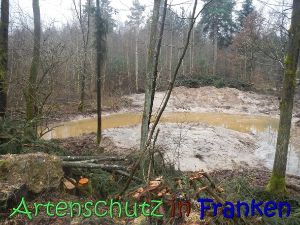 Bild zum Eintrag (63217-160)