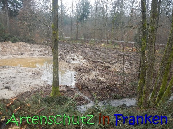 Copyright AiS Kƶhler Bild zum Eintrag (63220-160)