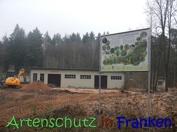 Copyright AiS Kƶhler Bild zum Eintrag (63222-160)
