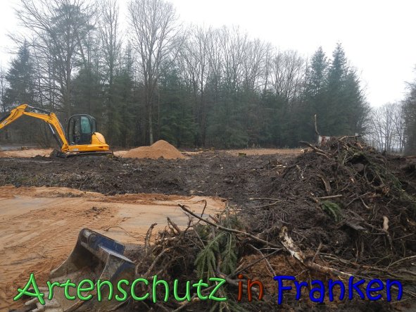 Copyright AiS Kƶhler Bild zum Eintrag (63223-160)