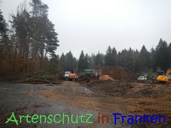 Copyright AiS Kƶhler Bild zum Eintrag (63224-160)
