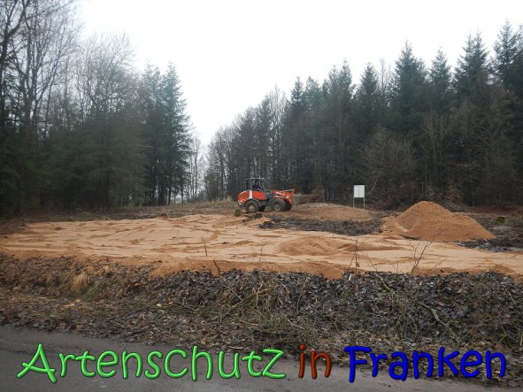 Copyright AiS Kƶhler Bild zum Eintrag (63228-160)