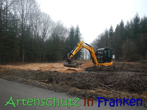 Copyright AiS Kƶhler Bild zum Eintrag (63229-160)