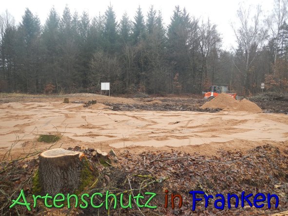Copyright AiS Kƶhler Bild zum Eintrag (63231-160)