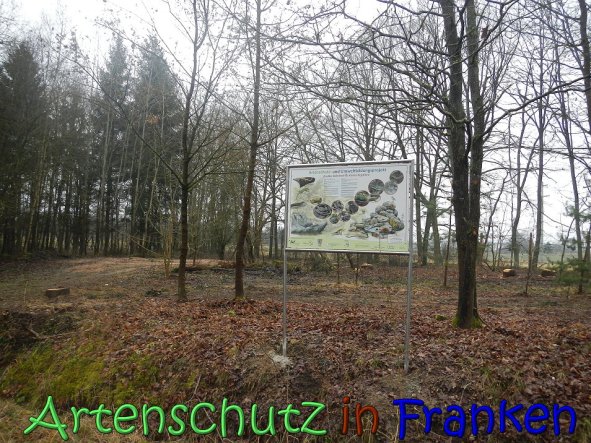 Copyright AiS Kƶhler Bild zum Eintrag (63233-160)