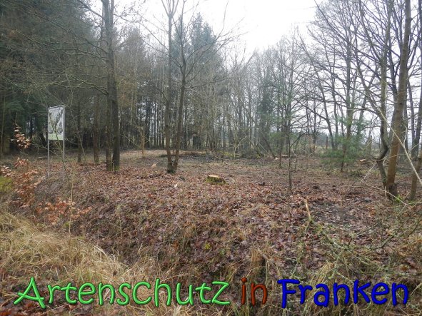 Copyright AiS Kƶhler Bild zum Eintrag (63234-160)