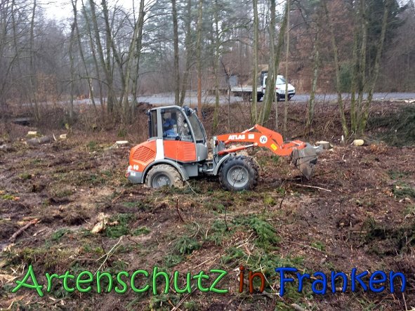 Bild zum Eintrag (63334-160)