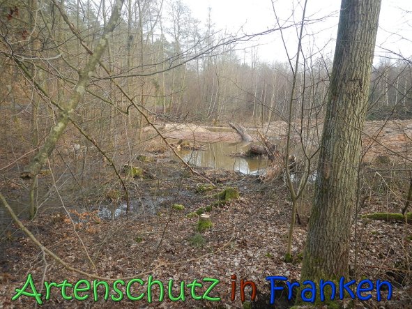 Bild zum Eintrag (63359-160)