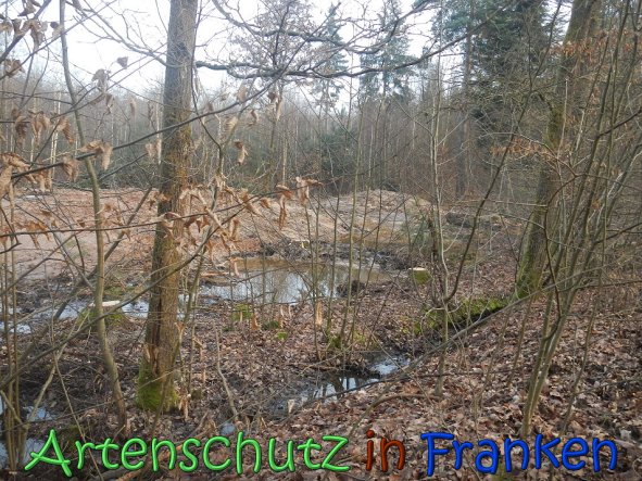 Bild zum Eintrag (63361-160)