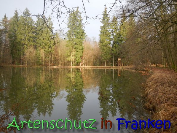 Bild zum Eintrag (63607-160)