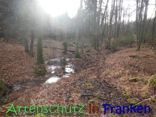 Bild zum Eintrag (63610-160)