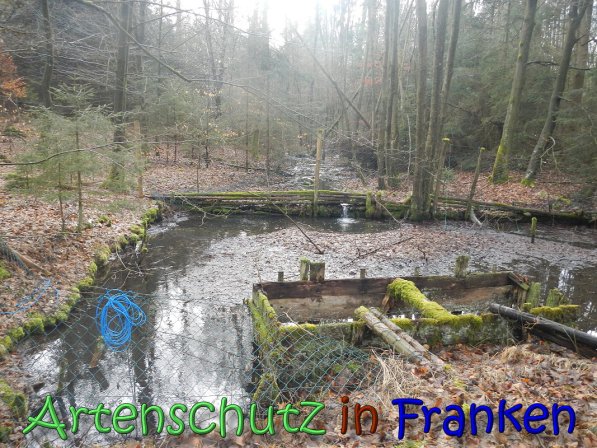 Bild zum Eintrag (63613-160)