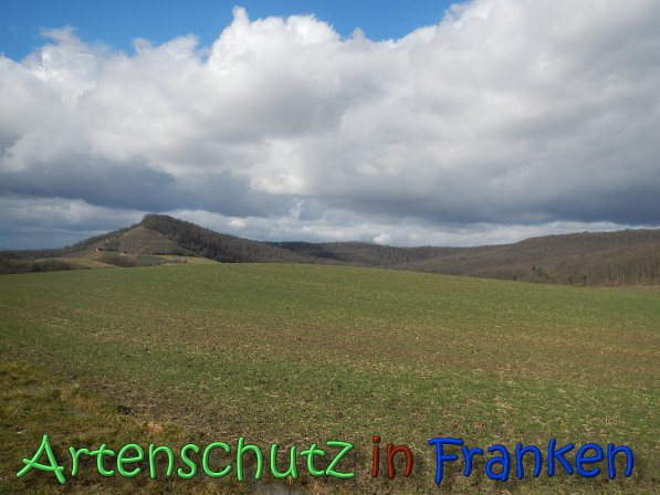 Bild zum Eintrag (63656-160)