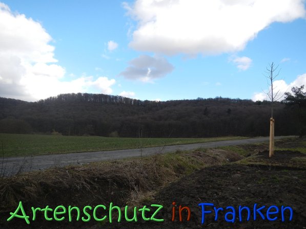 Bild zum Eintrag (63659-160)