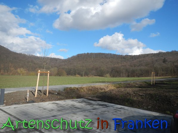 Bild zum Eintrag (63660-160)