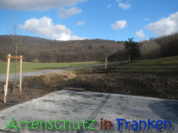 Bild zum Eintrag (63661-160)