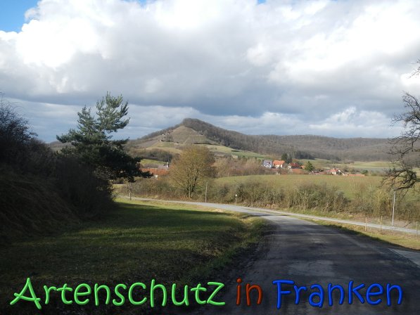 Bild zum Eintrag (63668-160)