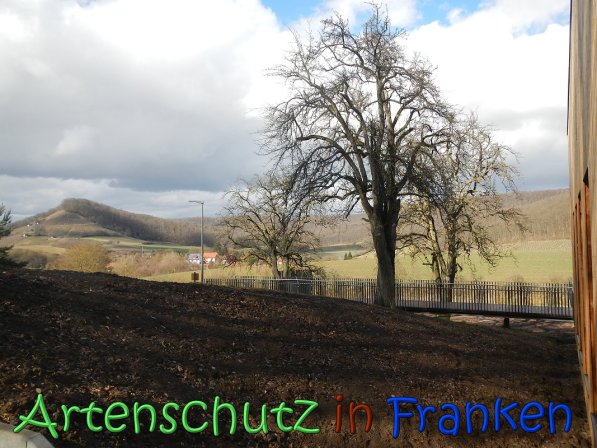 Bild zum Eintrag (63674-160)