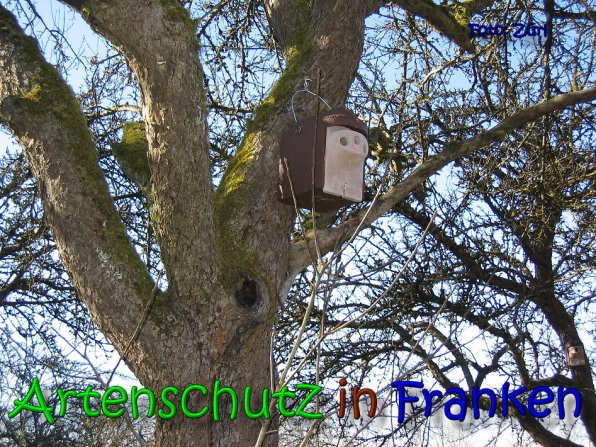 Copyright AiS Zürl Bild zum Eintrag (64215-160)