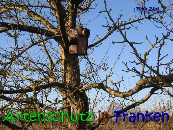 Copyright AiS Zürl Bild zum Eintrag (64216-160)