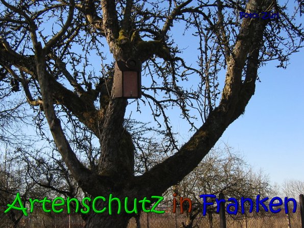 Copyright AiS Zürl Bild zum Eintrag (64217-160)