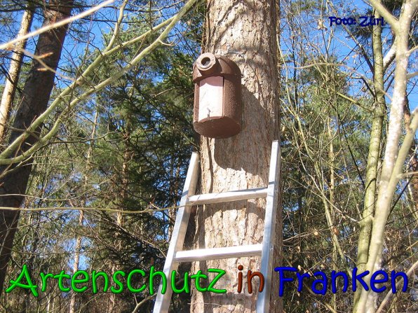Copyright AiS Zürl Bild zum Eintrag (64218-160)
