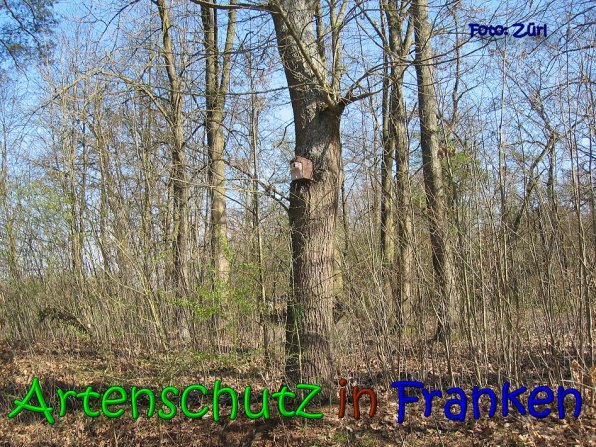 Copyright AiS Zürl Bild zum Eintrag (64220-160)