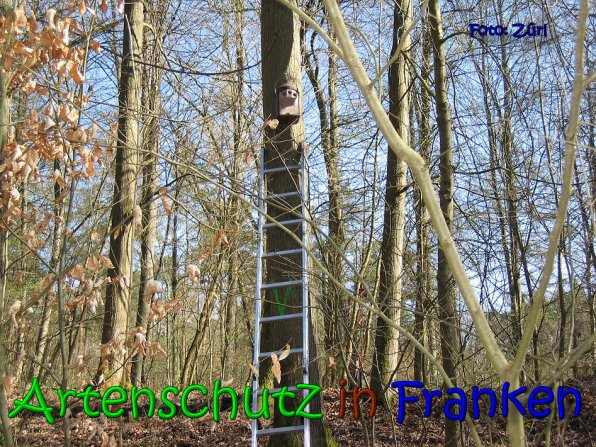 Copyright AiS Zürl Bild zum Eintrag (64222-160)