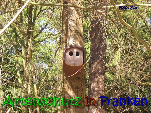 Copyright AiS Zürl Bild zum Eintrag (64223-160)
