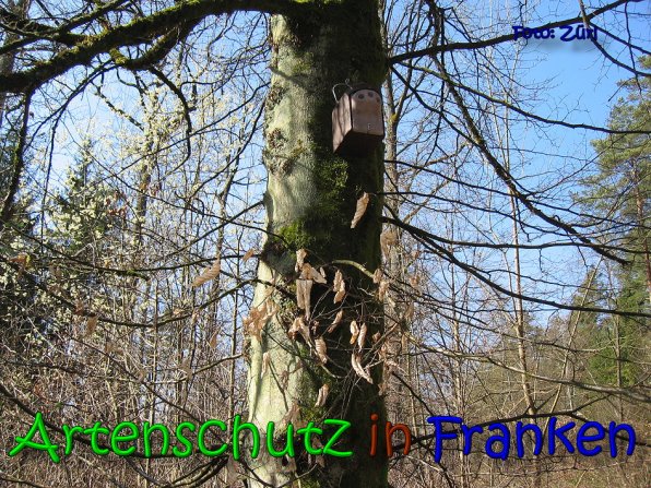 Copyright AiS Zürl Bild zum Eintrag (64224-160)