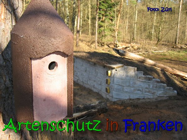 Copyright AiS Zürl Bild zum Eintrag (64226-160)