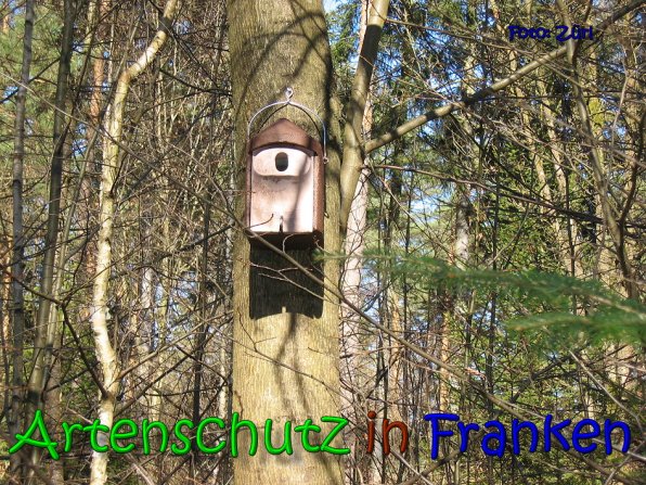 Copyright AiS Zürl Bild zum Eintrag (64227-160)