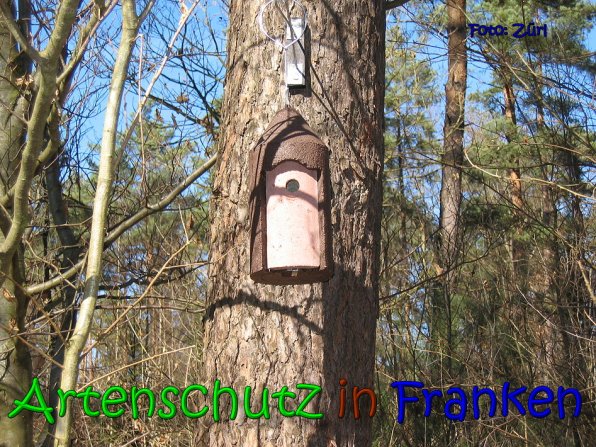 Copyright AiS Zürl Bild zum Eintrag (64228-160)