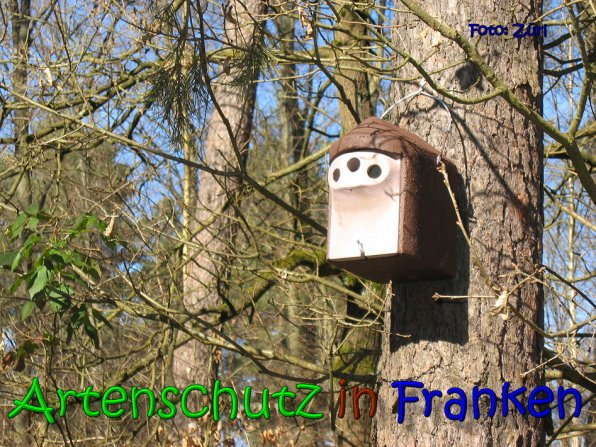 Copyright AiS Zürl Bild zum Eintrag (64237-160)