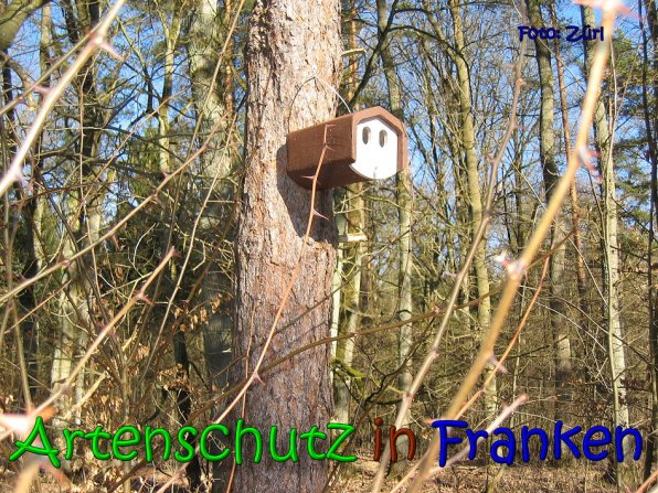 Copyright AiS Zürl Bild zum Eintrag (64238-160)
