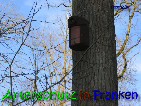 Copyright AiS Zürl Bild zum Eintrag (64239-160)
